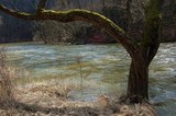 NP Podyjí - V předjarním období bývá řeka Dyje i u brodu rozvodněná. (c) A.Kinc