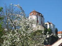 Jaro ve Vranově nad Dyjí