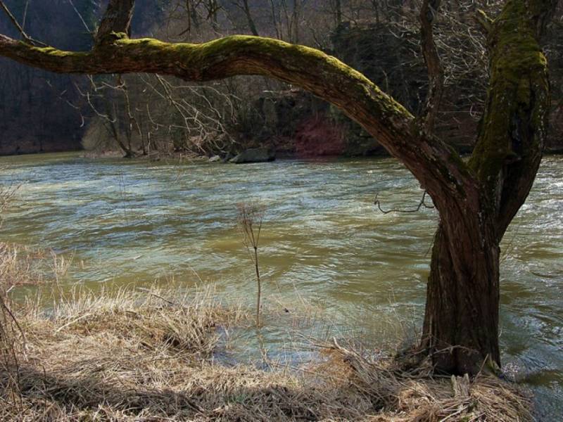 NP Podyjí - V předjarním období bývá řeka Dyje i u brodu rozvodněná. (c) A.Kinc