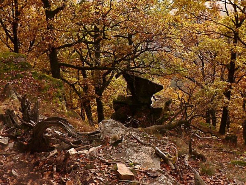 NP Podyjí - Podzim u Pašerácké stezky. (c) A.Kinc