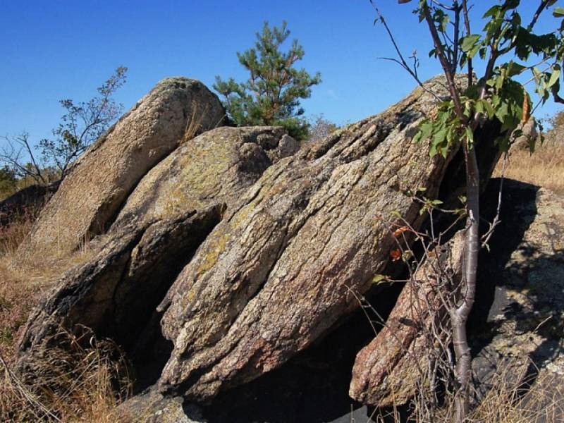 Flóra NP Podyjí - Třešinka. (c) A.Kinc