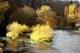 NP Podyjí - Podzimně zabarvená řeka Dyje. (c) A.Kinc