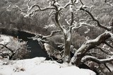 NP Podyjí - Výhled nad Hamerskými vrásami - zima. (c) A.Kinc