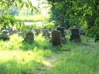Židovský hřbitov Šafov